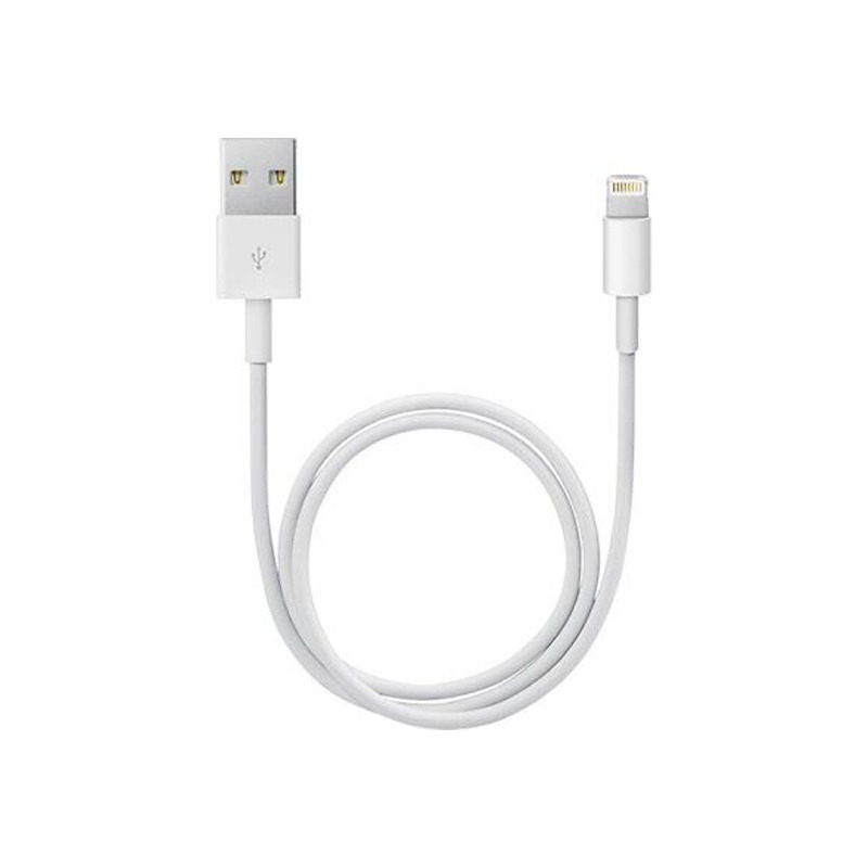 Apple ME291AM/A Lightning - USB Cable - 1.64 ft